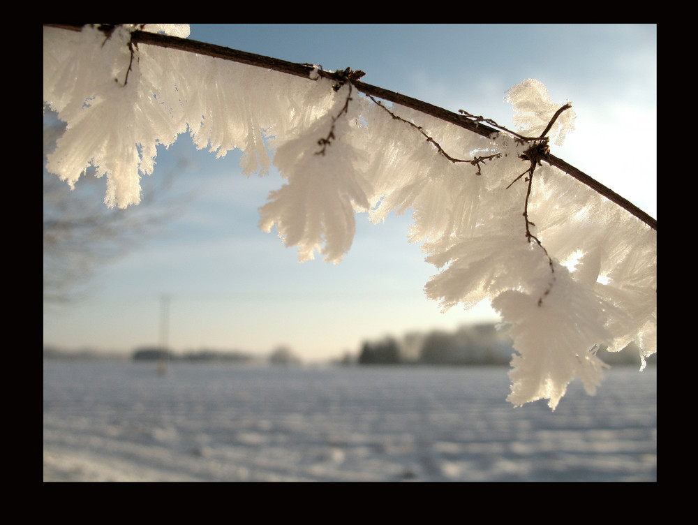 Wintermärchen