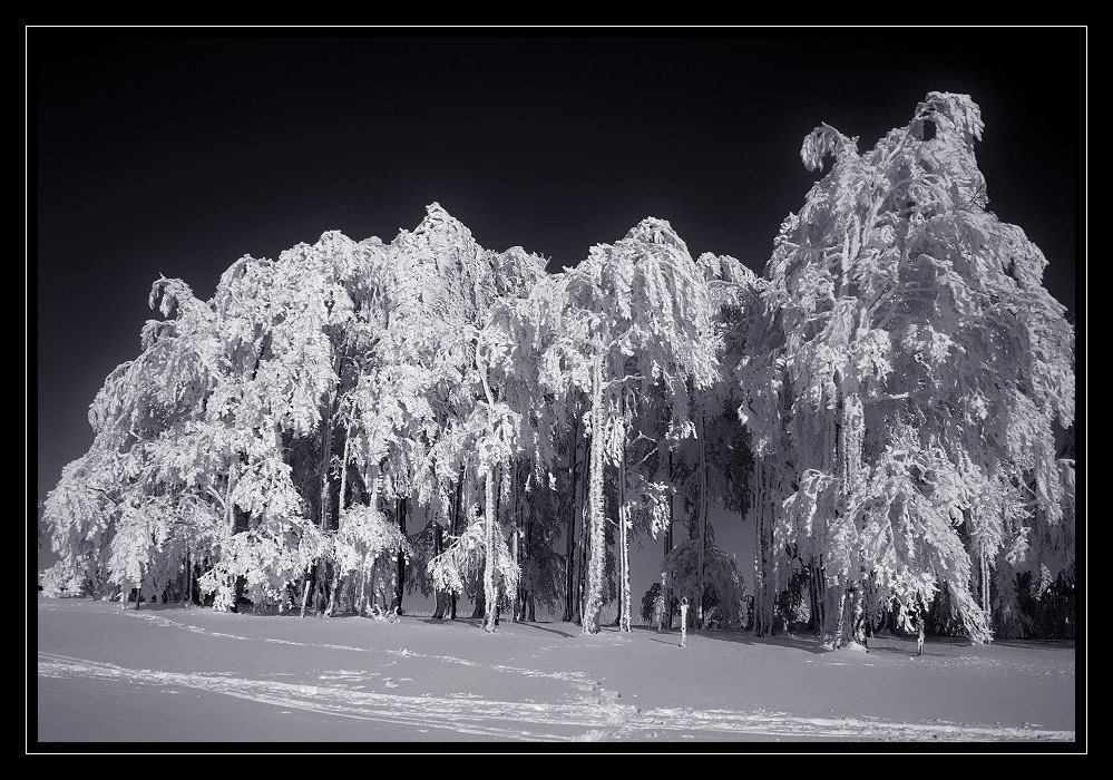 Wintermärchen