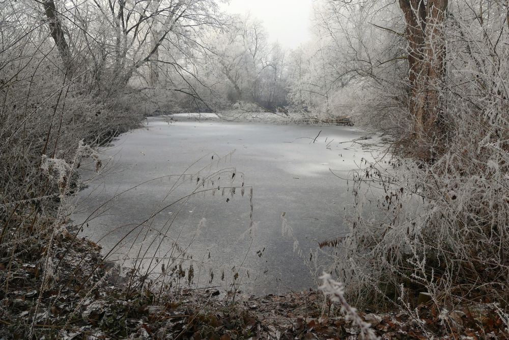 Wintermärchen