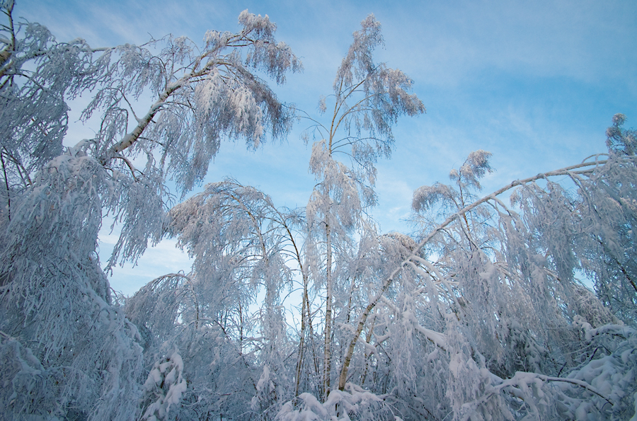 Wintermärchen