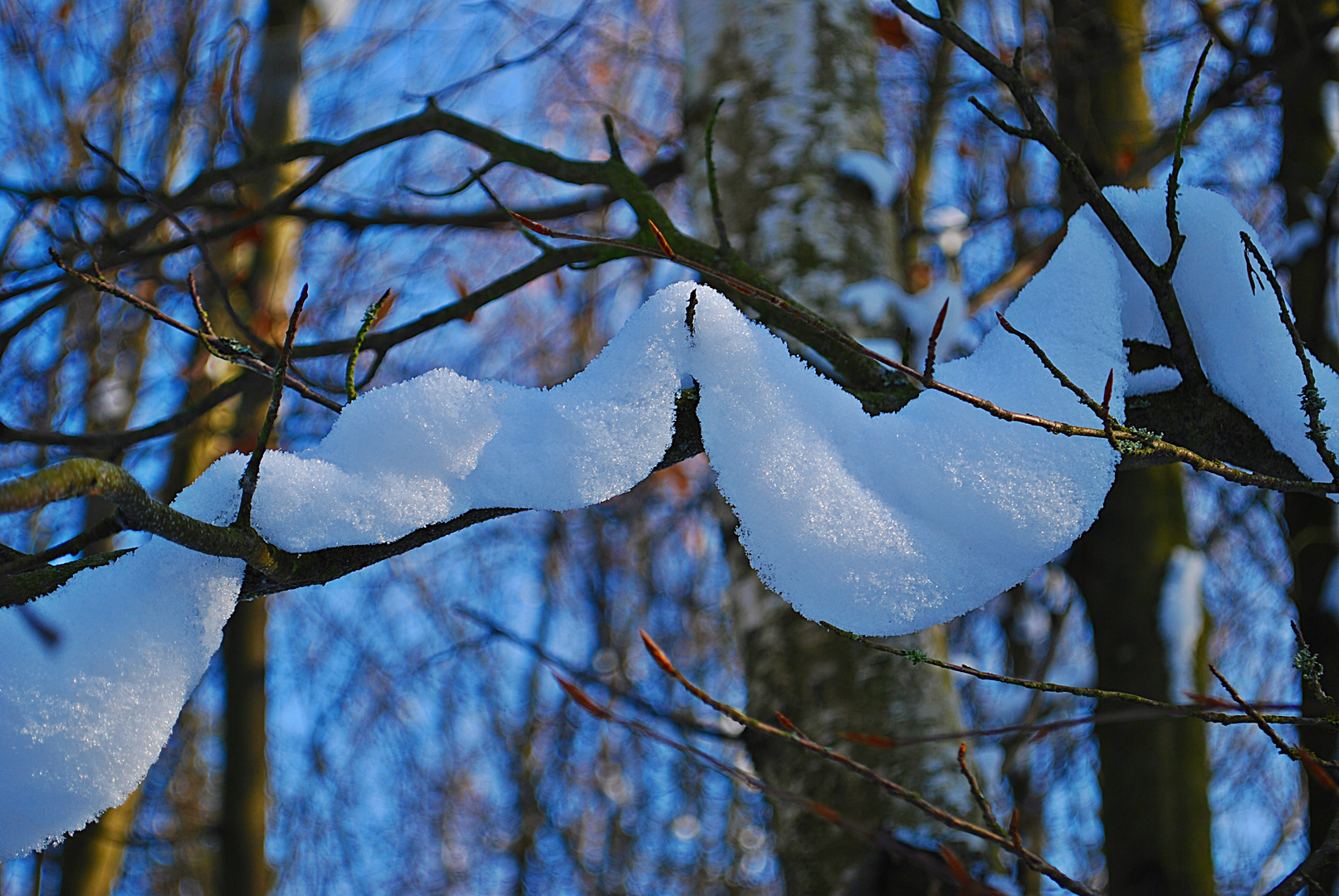 Wintermärchen... 5