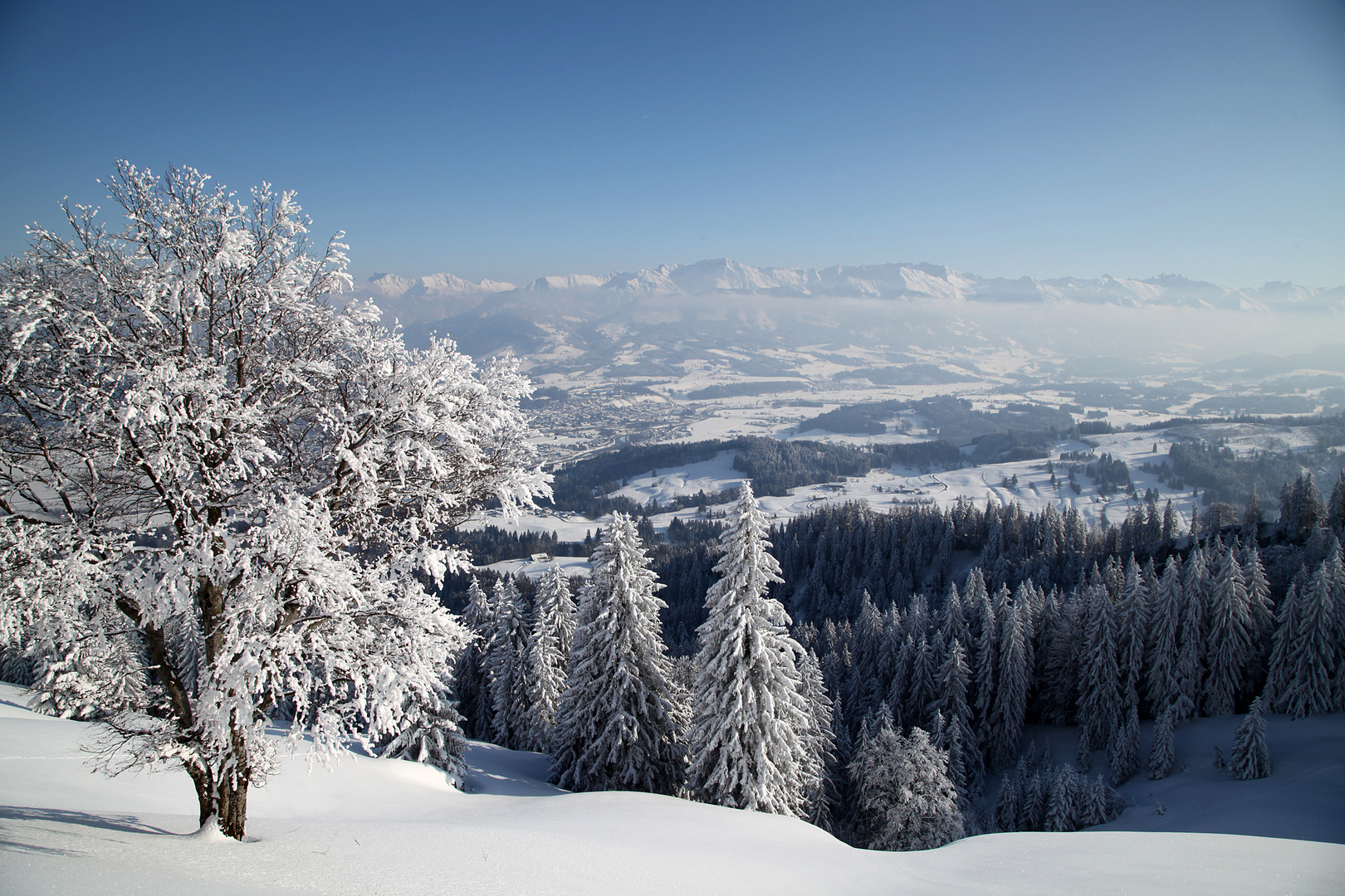 -Wintermärchen-