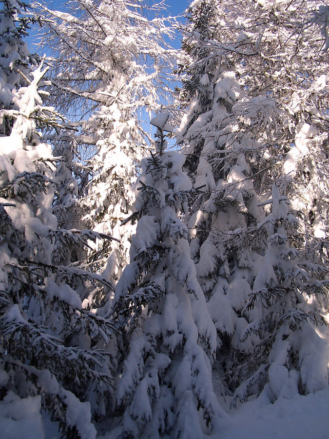 Wintermärchen