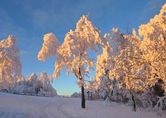 Wintermärchen