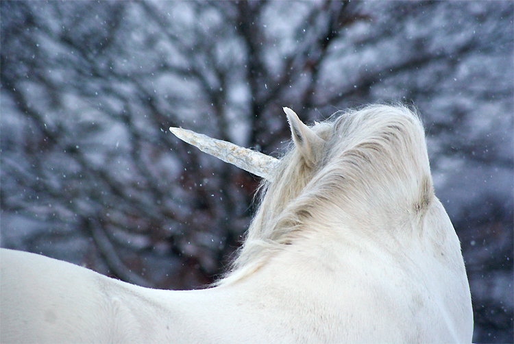 Wintermärchen