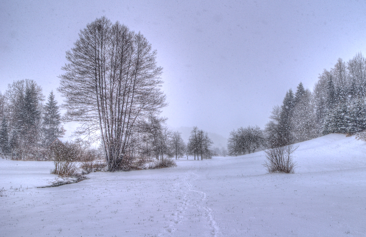 Wintermärchen