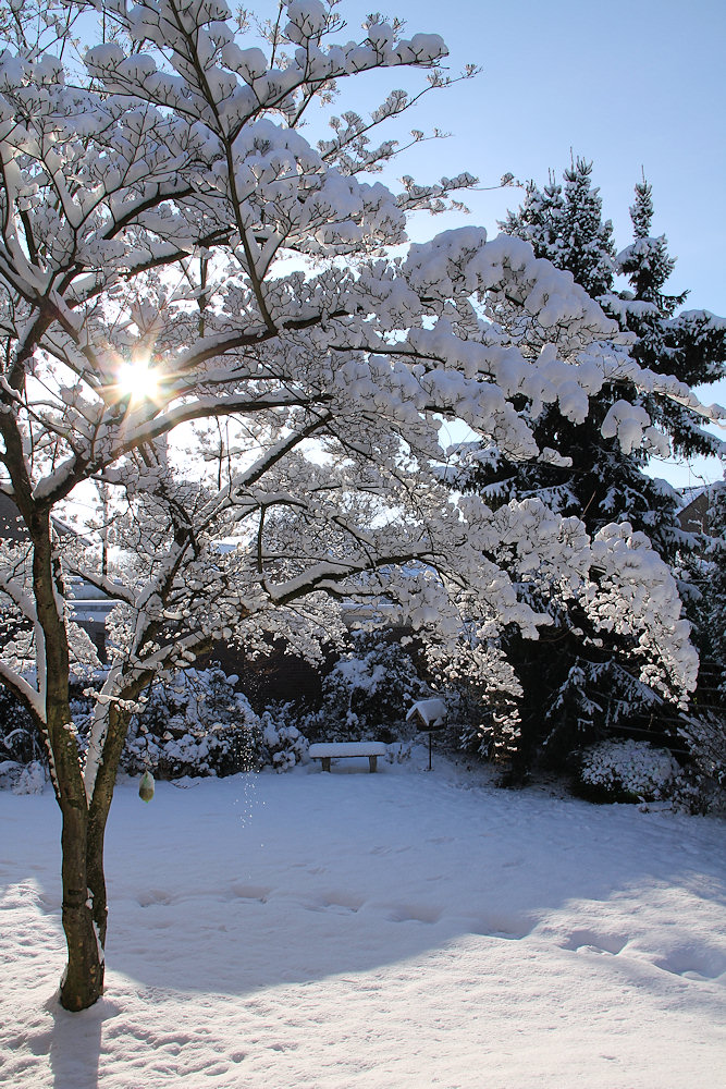 Wintermärchen