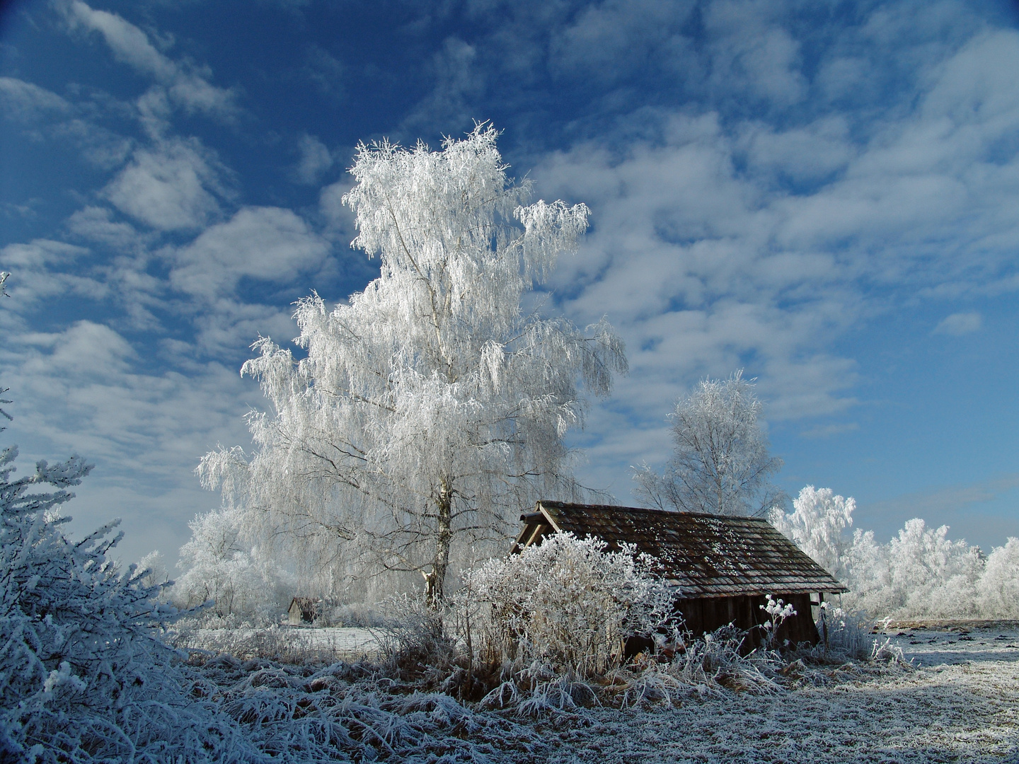 Wintermärchen