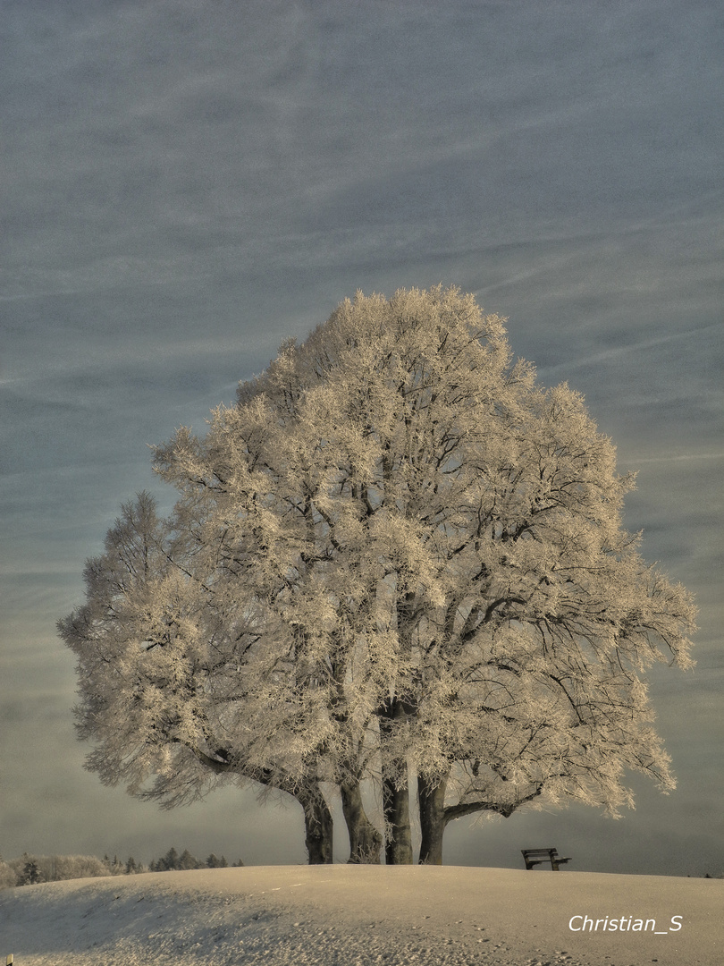 Wintermärchen