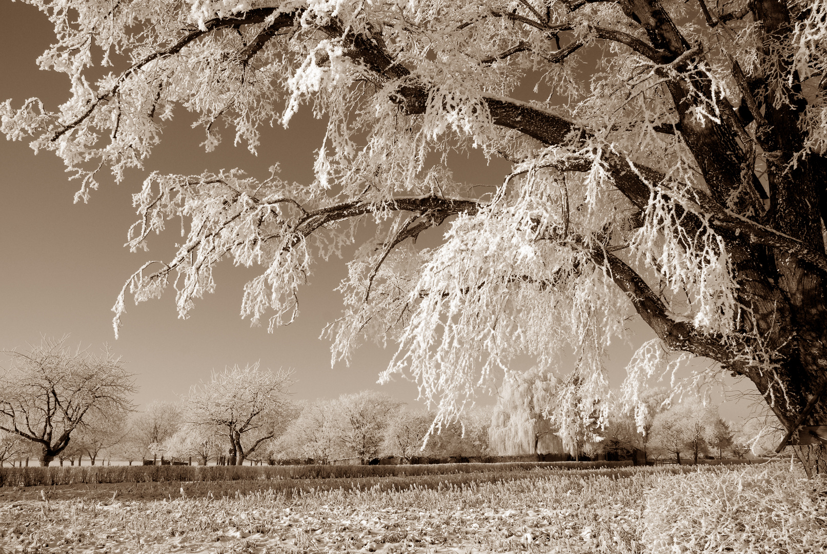 Wintermärchen.................