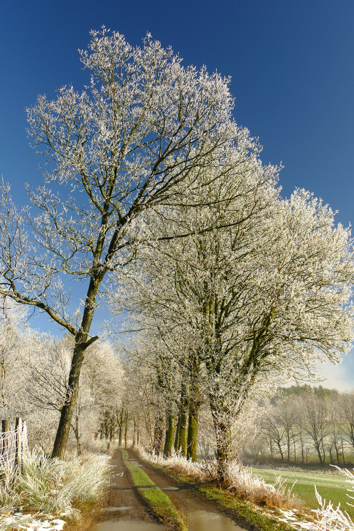 °°°° Wintermärchen °°°°