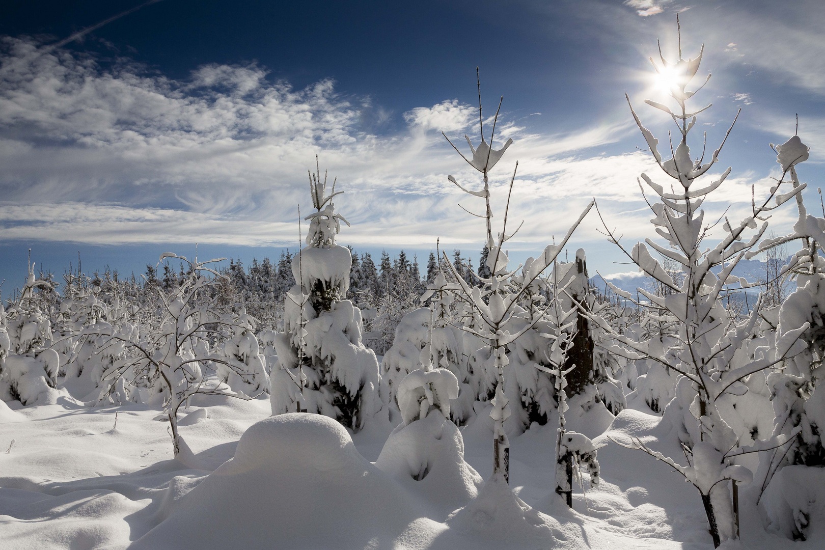 Wintermärchen