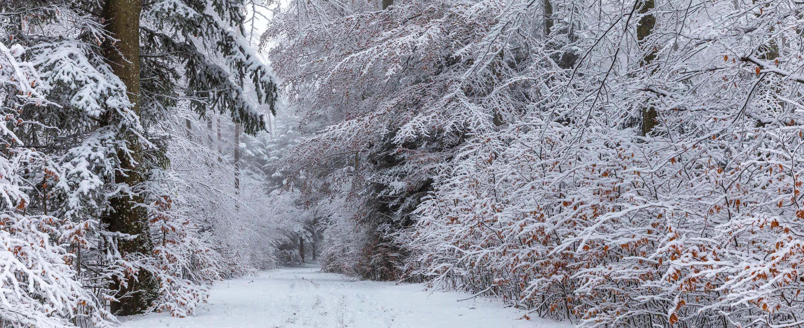 Wintermärchen