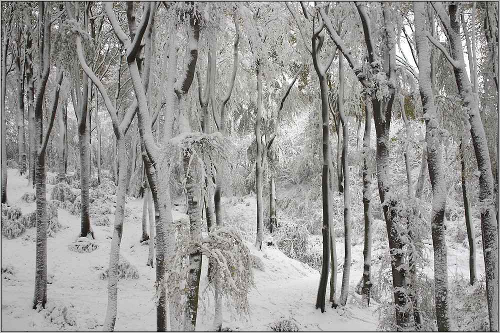 Wintermärchen