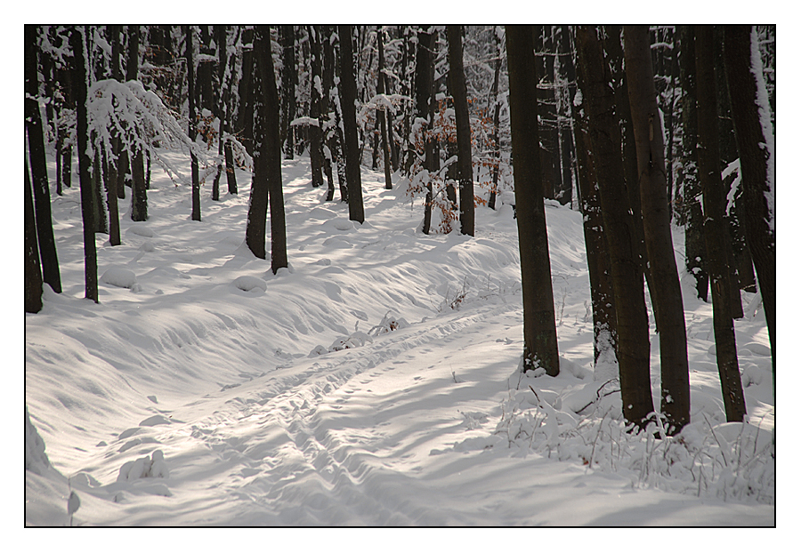 Wintermärchen ....