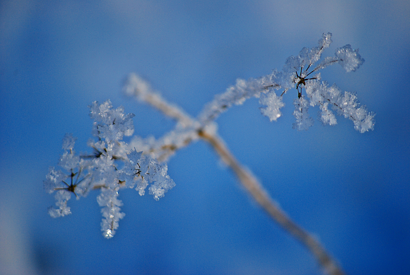 Wintermärchen... 8