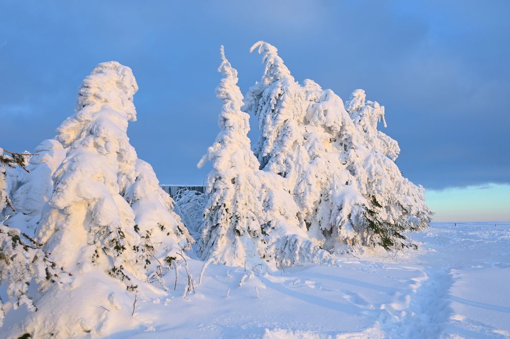 Wintermärchen