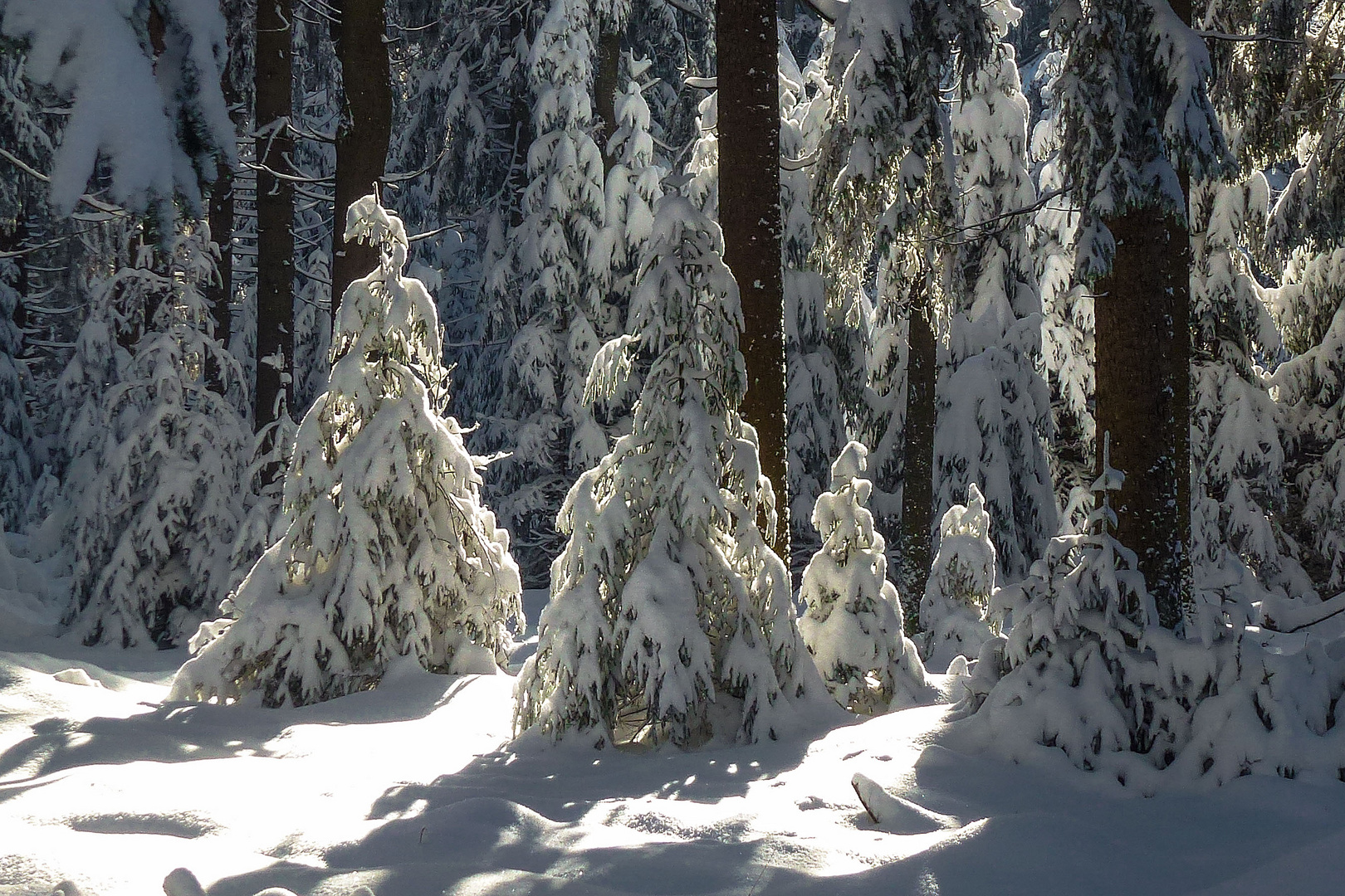 Wintermärchen