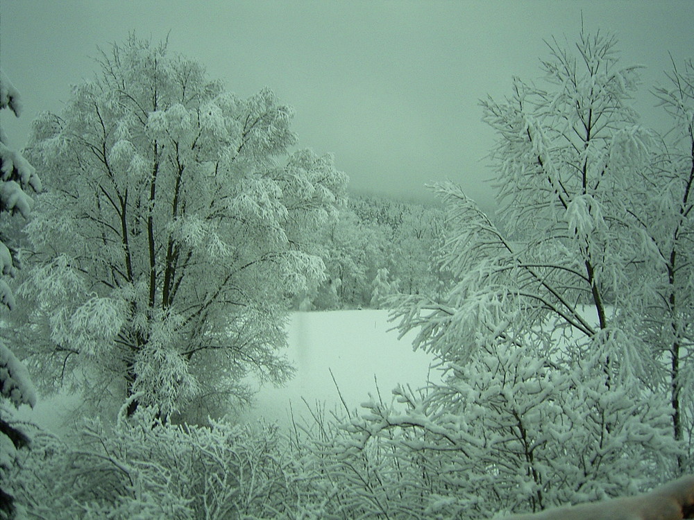 Wintermärchen ...