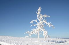 Wintermärchen...