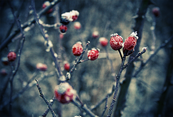 winter.märchen.