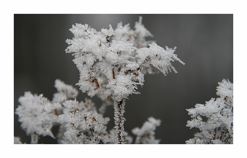 Wintermärchen