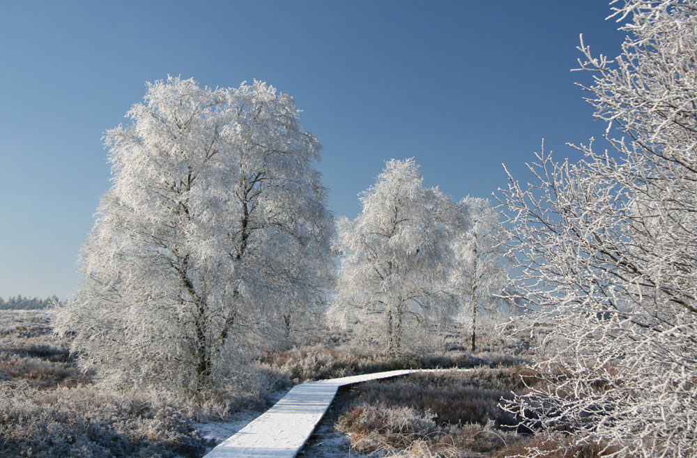 Wintermärchen...