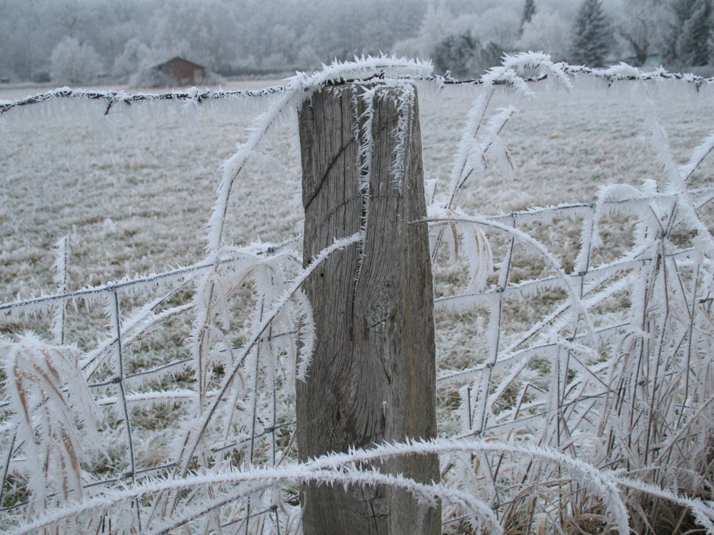 Wintermärchen