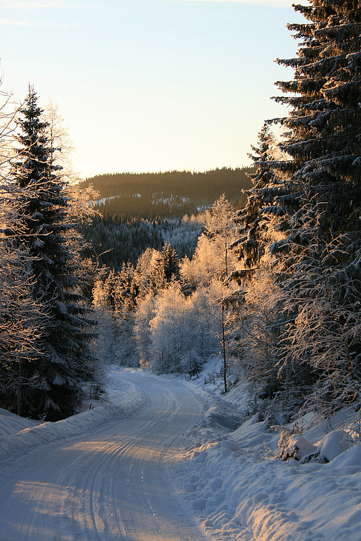 Wintermärchen