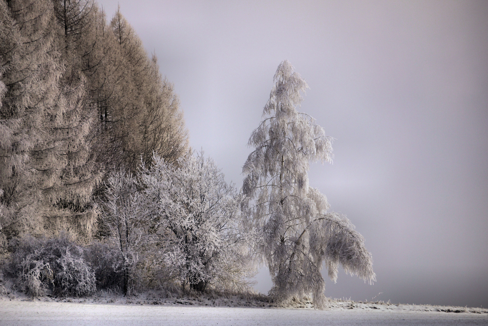 Wintermärchen