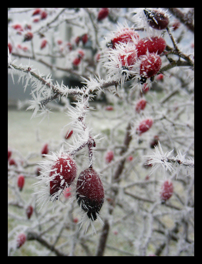 Wintermärchen