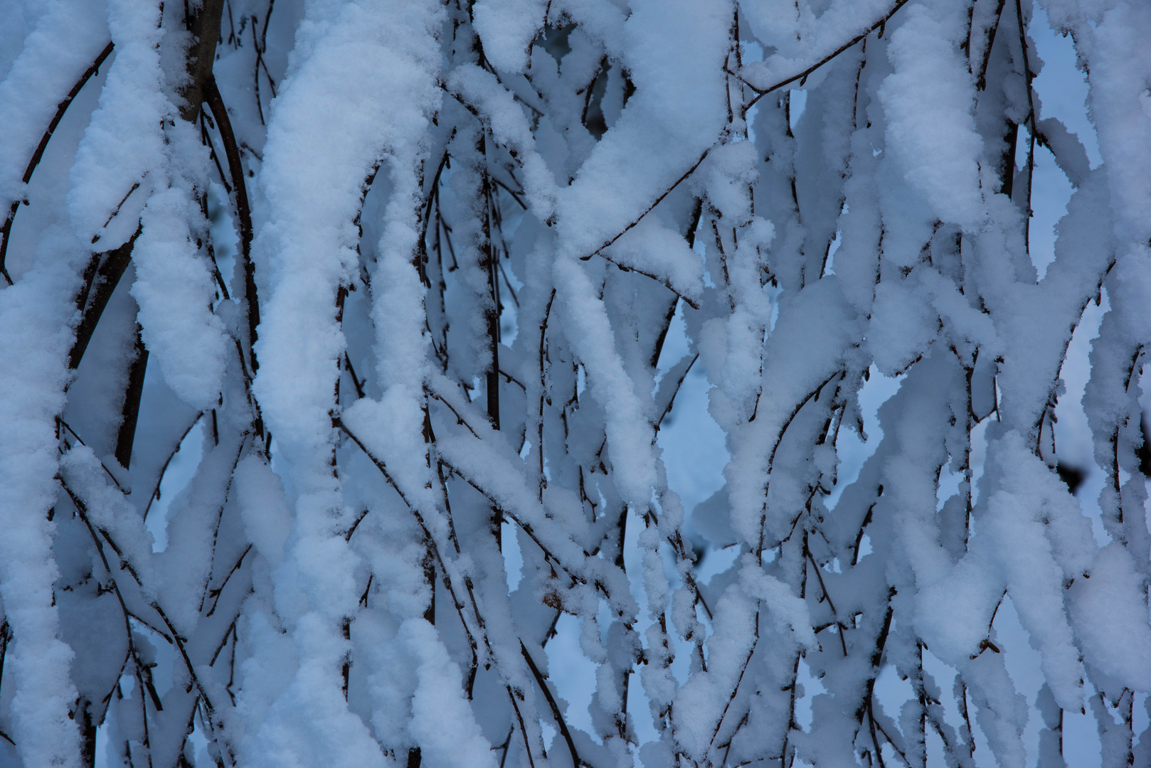 wintermärchen