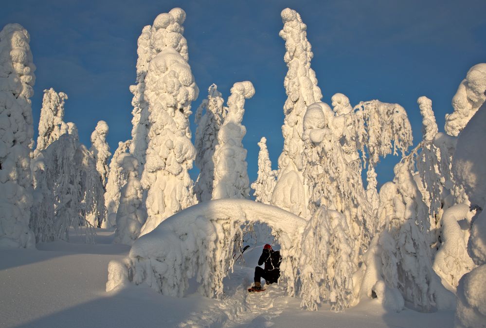 Wintermärchen