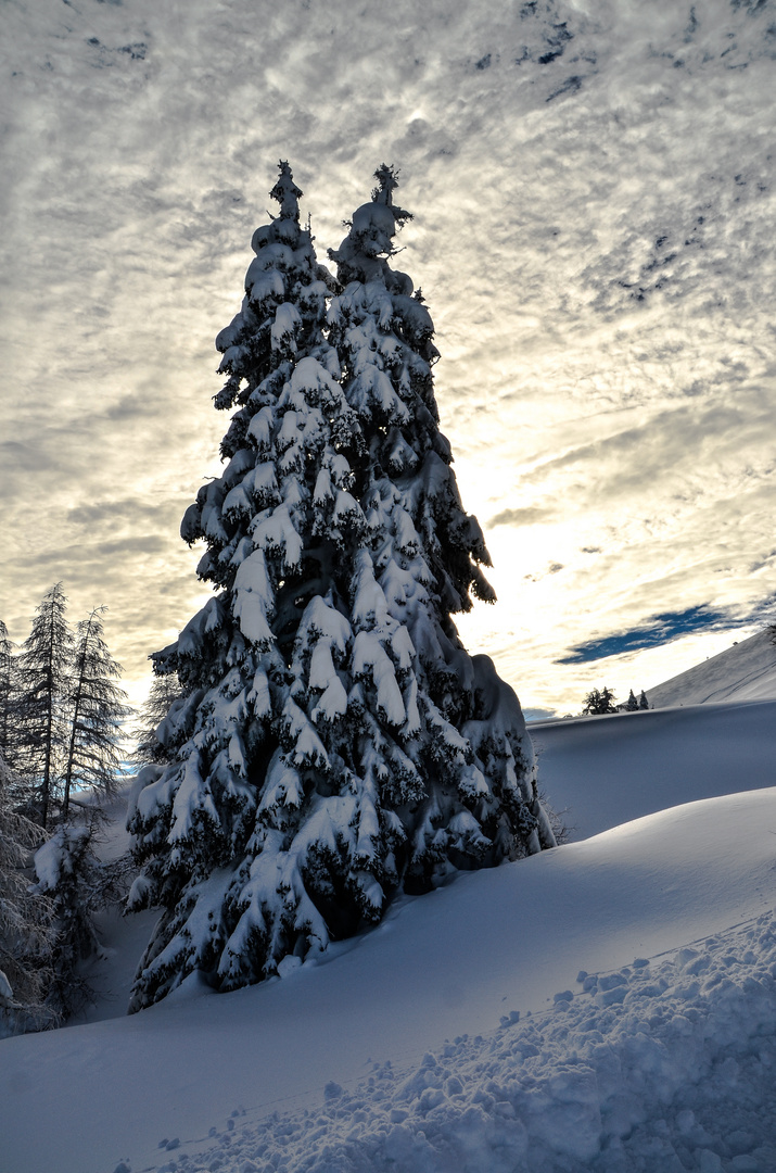 Wintermärchen