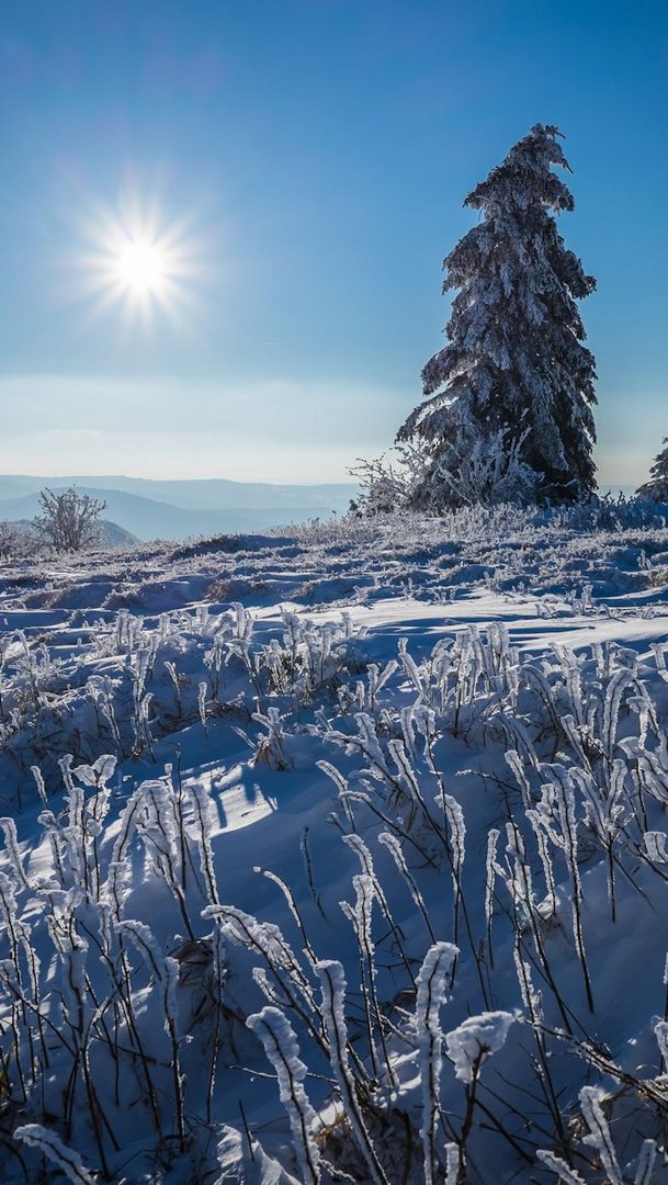 Wintermärchen