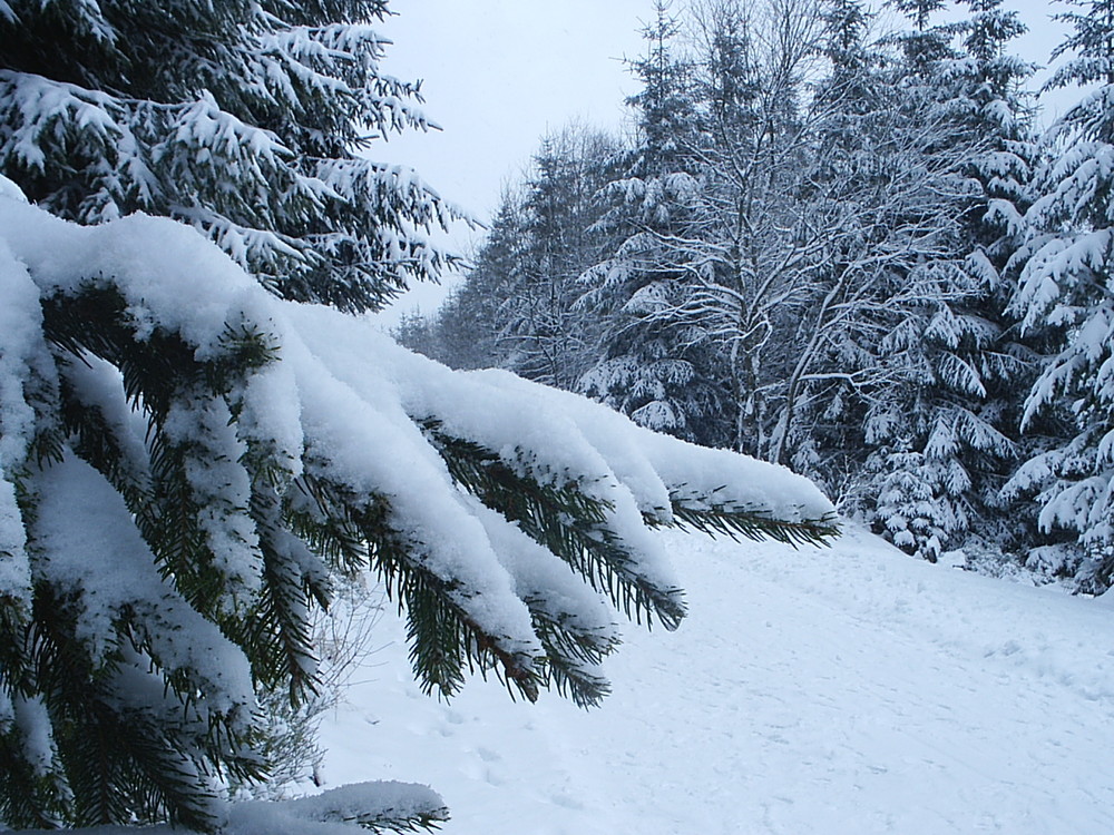 Wintermärchen