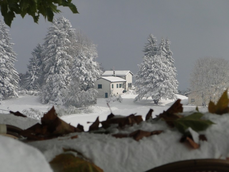 Wintermärchen am Albis