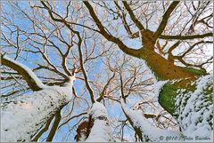 Wintermärchen am "Heiligen Meer"