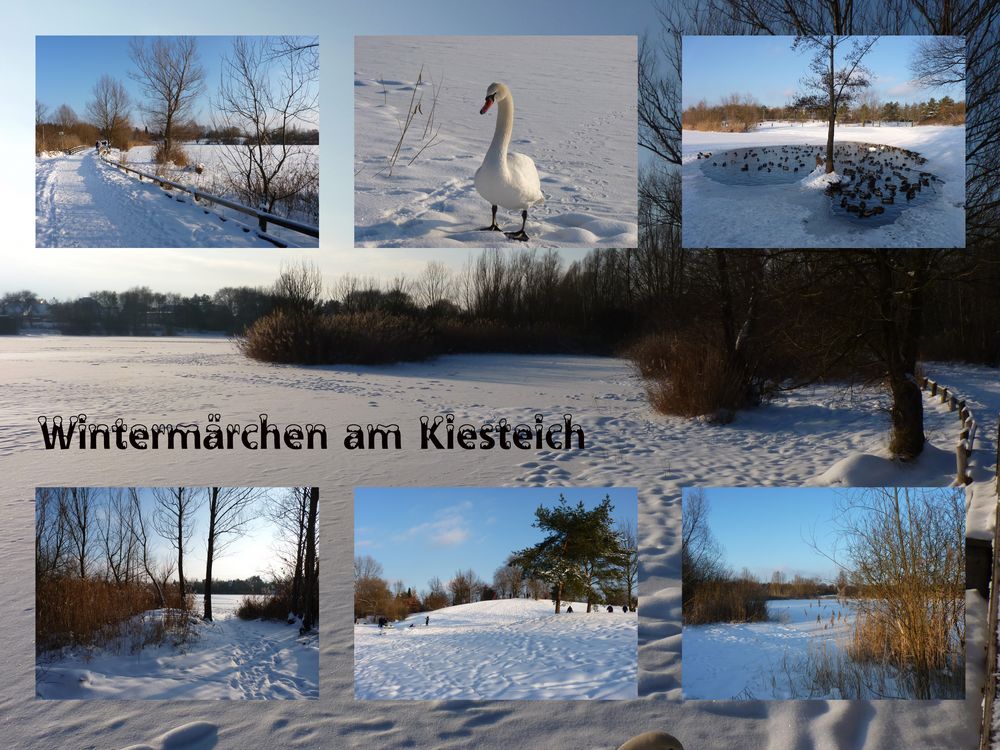 Wintermärchen am Kiesteich