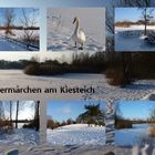 Wintermärchen am Kiesteich