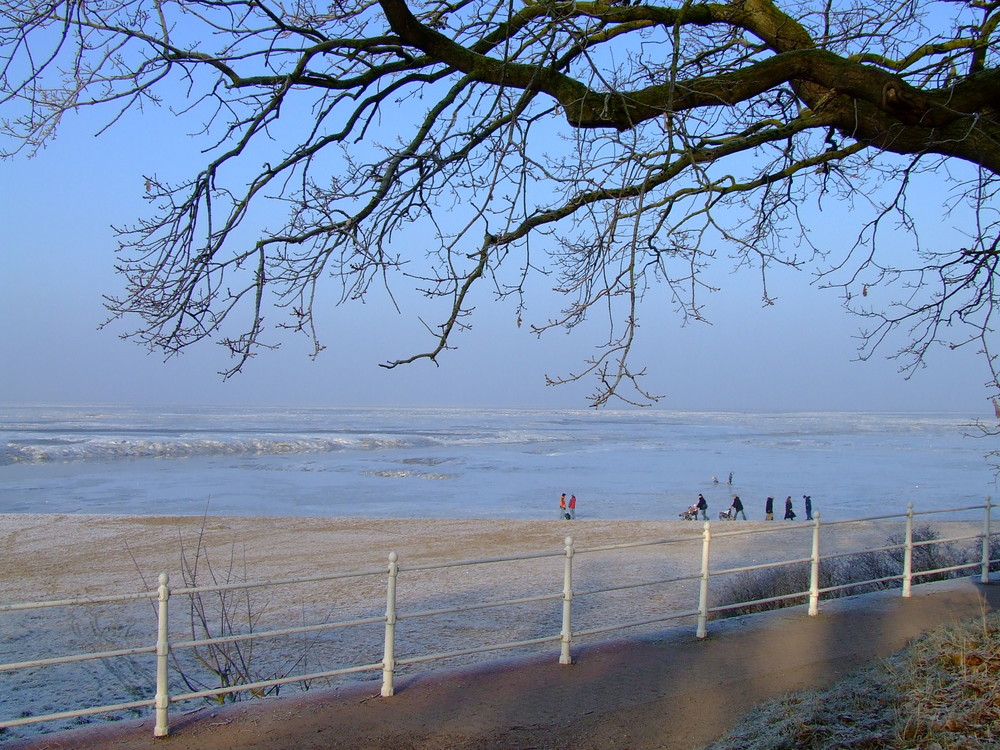 Wintermärchen am Südlichen Jadebusen