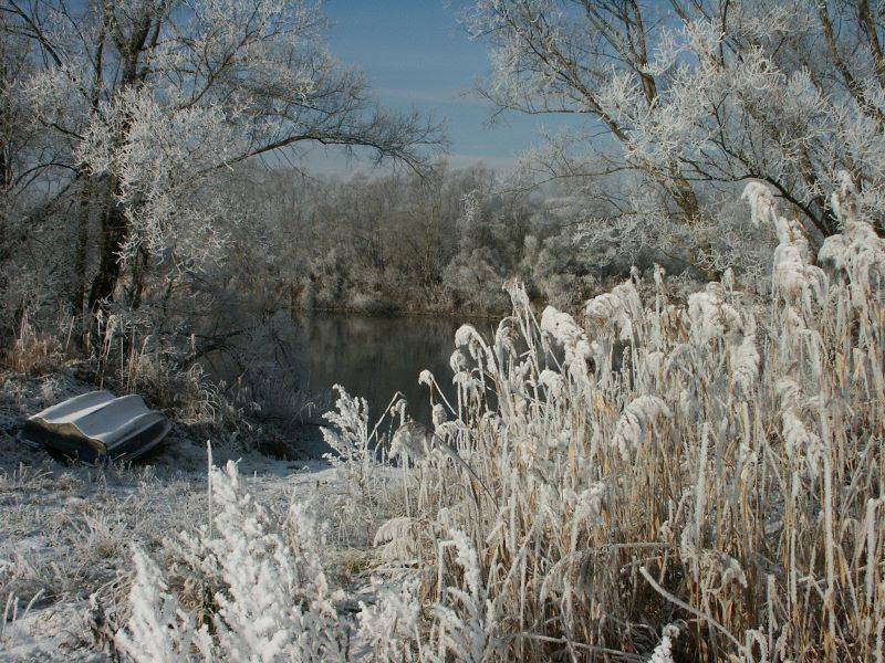 Wintermärchen an der Donau bei Enns