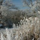 Wintermärchen an der Donau bei Enns