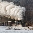 Wintermärchen an der Steyrtalbahn(3)