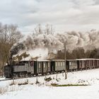 Wintermärchen an der Steyrtalbahn(6)