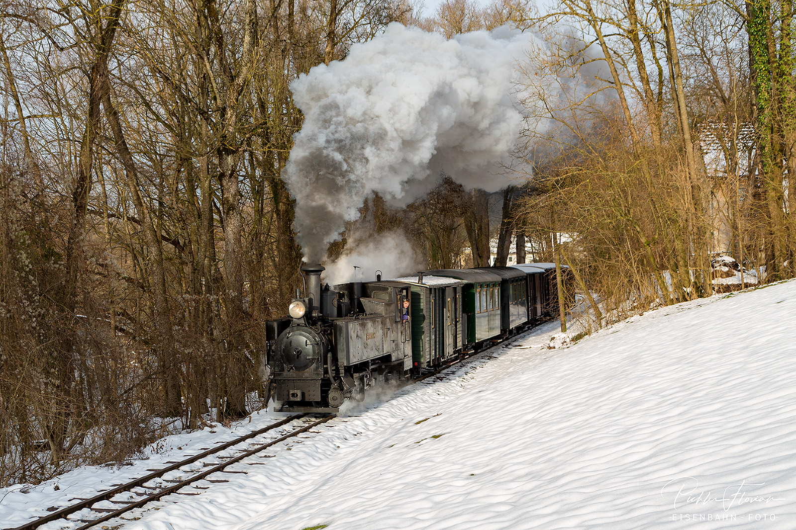 Wintermärchen an der Steyrtalbahn(7)