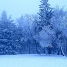 Wintermärchen auf dem Altkönig