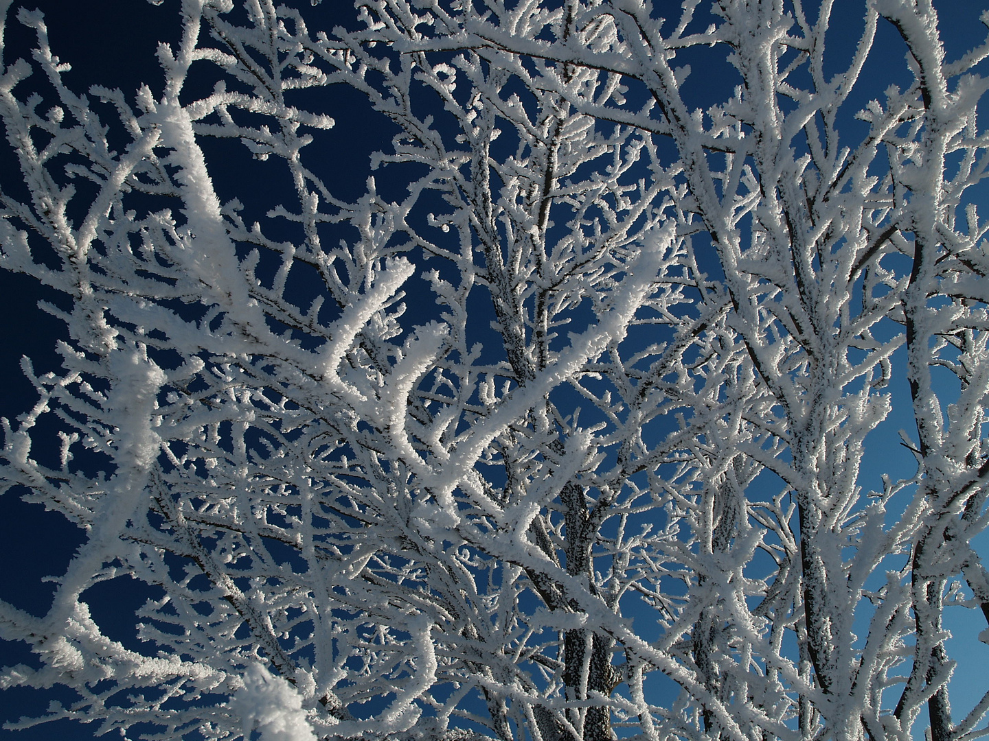 Wintermärchen auf der Wasserkuppe