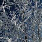 Wintermärchen auf der Wasserkuppe