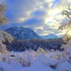 Wintermärchen aus unseren Garten